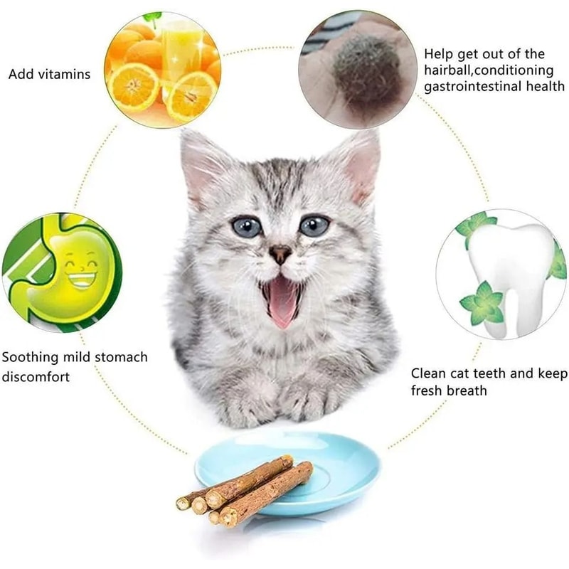 Natural Silvervine Catnip OralCare Chew Sticks 3