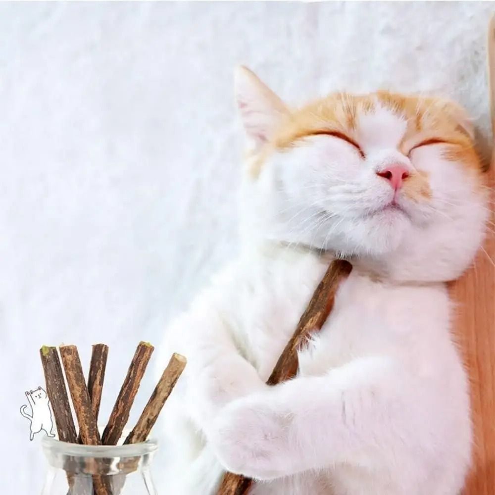 Natural Silvervine Catnip OralCare Chew Sticks 5