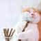 Natural Silvervine Catnip OralCare Chew Sticks 5