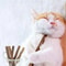 Natural Silvervine Catnip OralCare Chew Sticks 5
