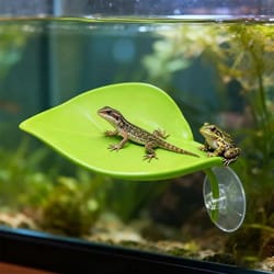 amphibian "basking-leaf" habitat terrace