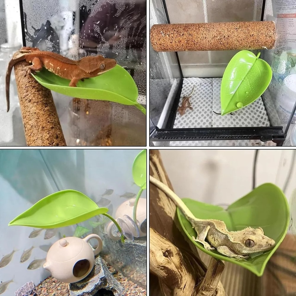 Amphibian BaskingLeaf Habitat Terrace 4