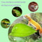 Amphibian BaskingLeaf Habitat Terrace 5