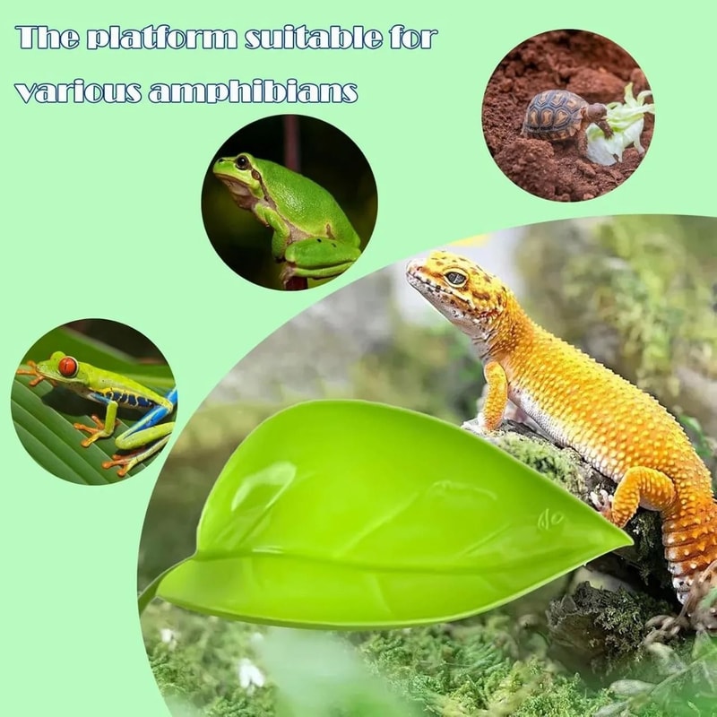 Amphibian BaskingLeaf Habitat Terrace 5