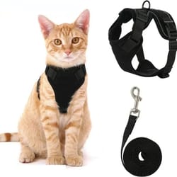 escape-proof "safe-walk" cat harness & leash set