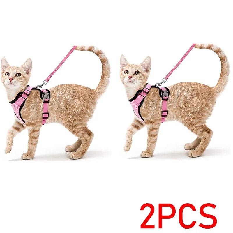 EscapeProof SafeWalk Cat Harness Leash Set 11