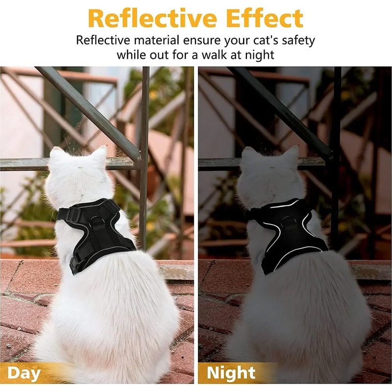 EscapeProof SafeWalk Cat Harness Leash Set 5
