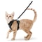 EscapeProof SafeWalk Cat Harness Leash Set 6