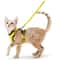 EscapeProof SafeWalk Cat Harness Leash Set 7