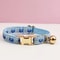 Premium ClassicMetal Adjustable Cat Collar 14