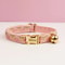 Premium ClassicMetal Adjustable Cat Collar 3