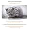 WeatherShield Outdoor Sanctuary Pet House 3
