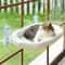 Panoramic View SunSoaker Window Hammock 0