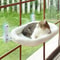 Panoramic View SunSoaker Window Hammock 0