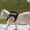 Tactical MissionReady EscapeProof Cat Harness 0