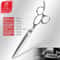 Fenice Professional 80 Japanese 440C Grooming Shears 1