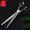 Fenice Professional 80 Japanese 440C Grooming Shears 3