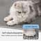 PrecisionCapture DualLayer Litter Mat Large 60x90cm 3