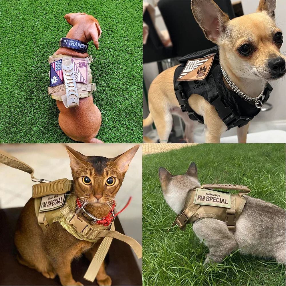 Tactical MissionReady EscapeProof Training Harness 4
