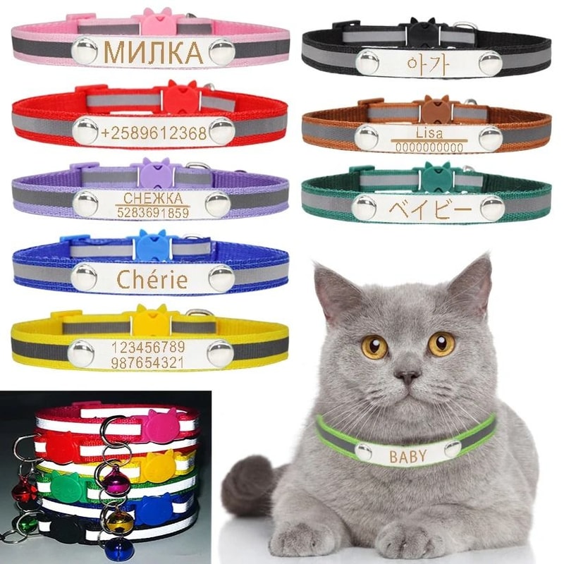 AuraReflective Personalized Safety Collar 0