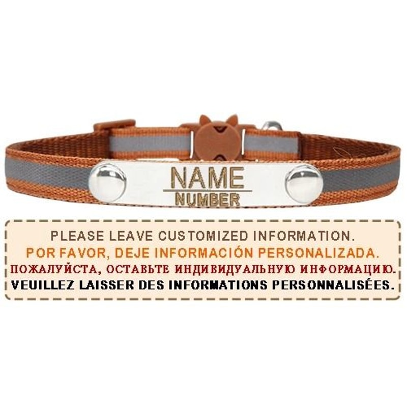 AuraReflective Personalized Safety Collar 12