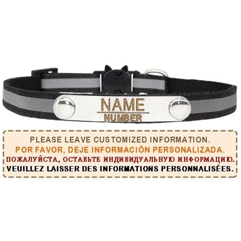 AuraReflective Personalized Safety Collar 13
