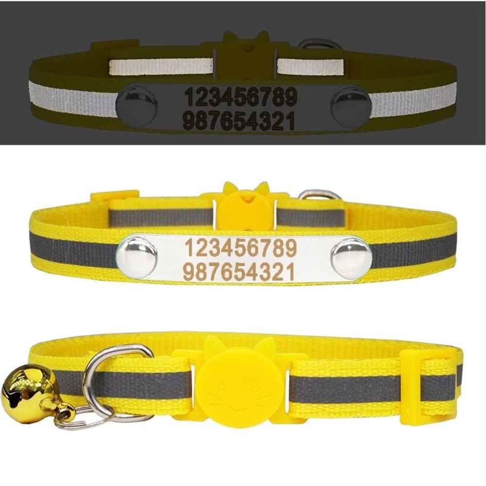 AuraReflective Personalized Safety Collar 1