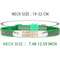 AuraReflective Personalized Safety Collar 3