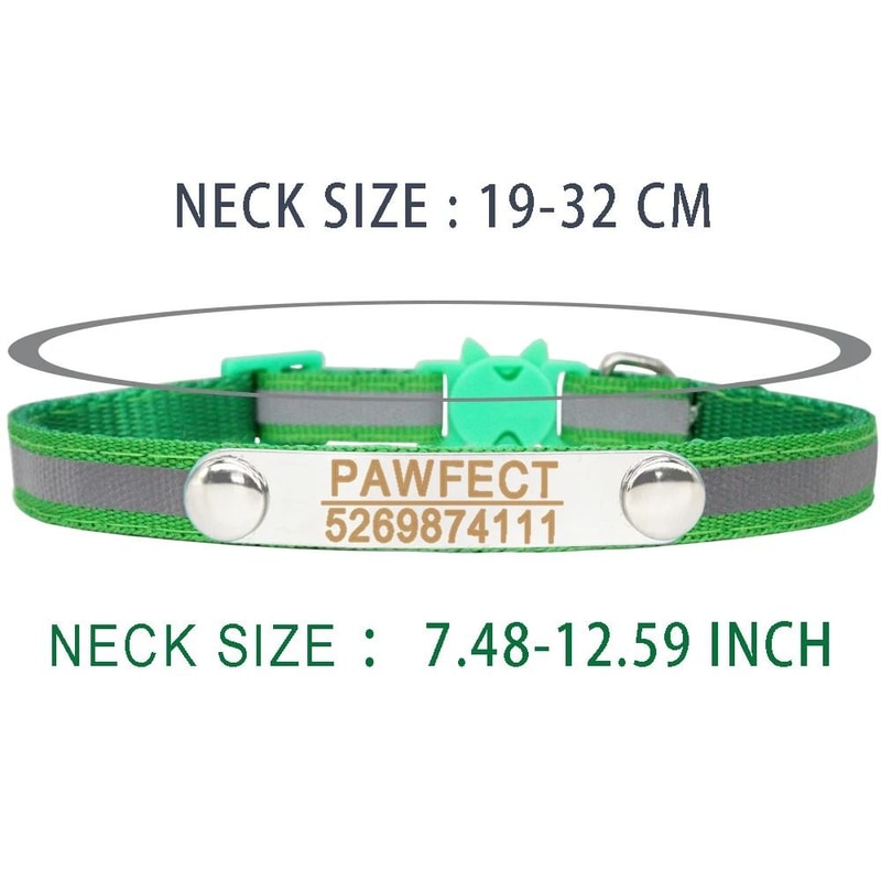 AuraReflective Personalized Safety Collar 3