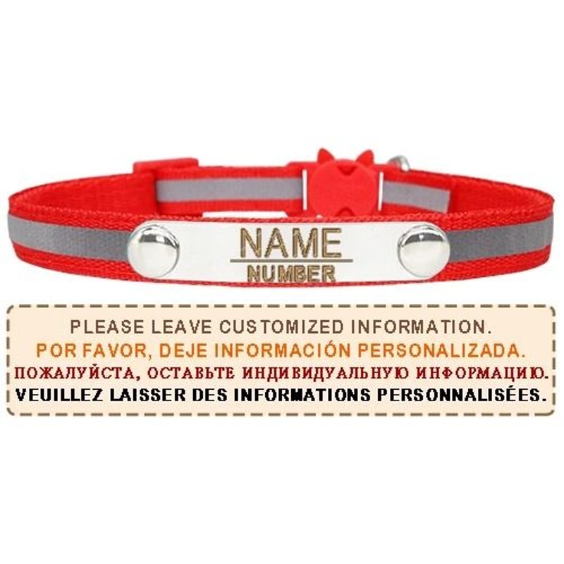 AuraReflective Personalized Safety Collar 7