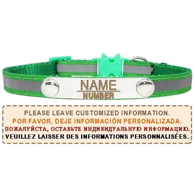 AuraReflective Personalized Safety Collar 22
