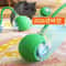Intelligent MouseMimic Robotic Teaser Ball 0