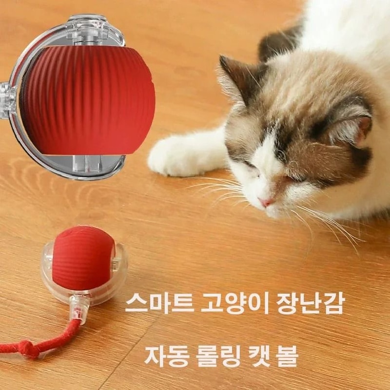 Intelligent MouseMimic Robotic Teaser Ball 4