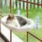 VistaView Panoramic Cat Window Hammock 0