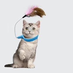 aero-feather hands-free interactive collar