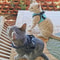 EscapeProof StealthSoft Cat Harness 5