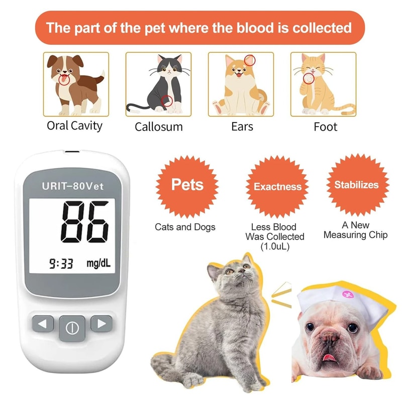 HemoCheck Smart Glucose Monitoring Kit 2