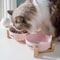 Ceramic Double Bowl Set With Wood Stand 1