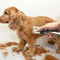 ProGrooming HighPower Trimmer Set 3
