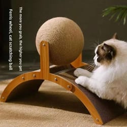 2-in-1 wooden sisal scratching station