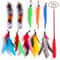 AeroMotion Kinetic Teaser Wand Caterpillar Set 5