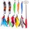 AeroMotion Kinetic Teaser Wand Caterpillar Set 5