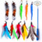 AeroMotion Kinetic Teaser Wand Caterpillar Set 6