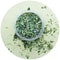 HighPurity Botanical Catnip Infusion 2
