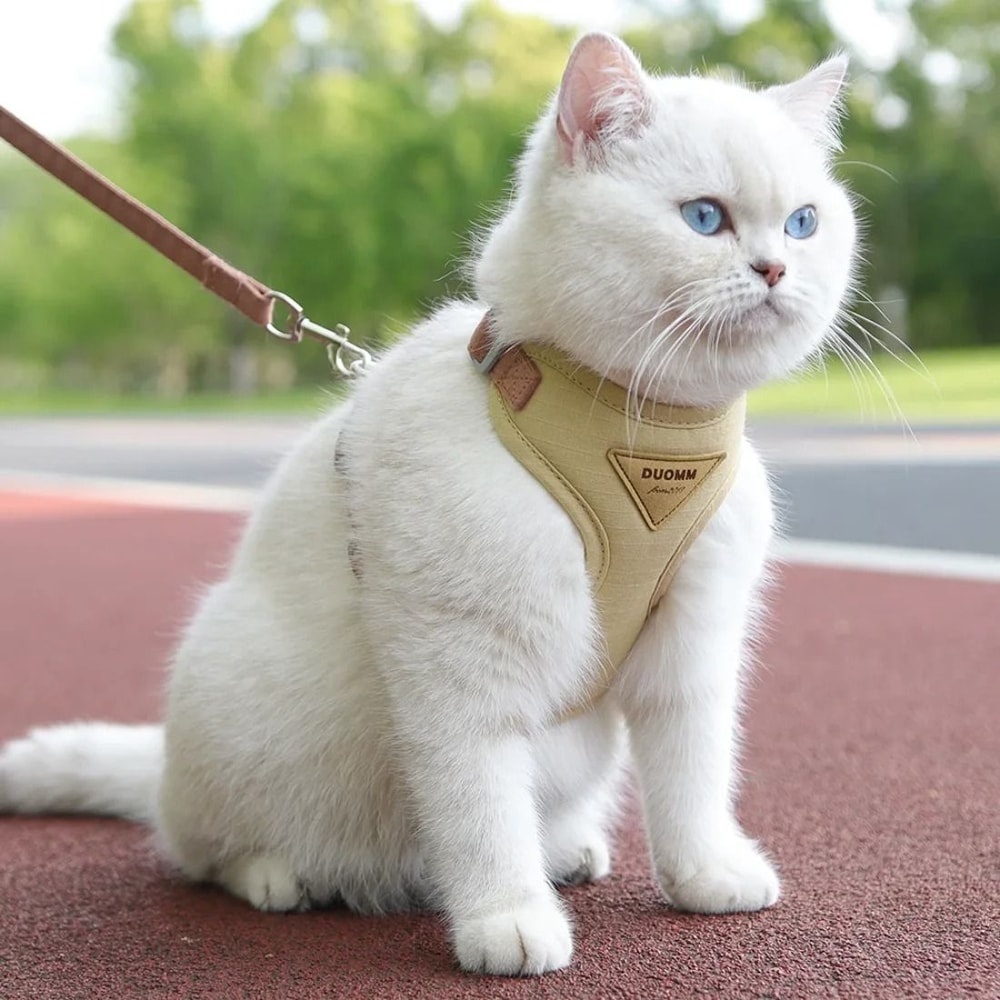 AeroMesh Adventure Harness Leash Set 0