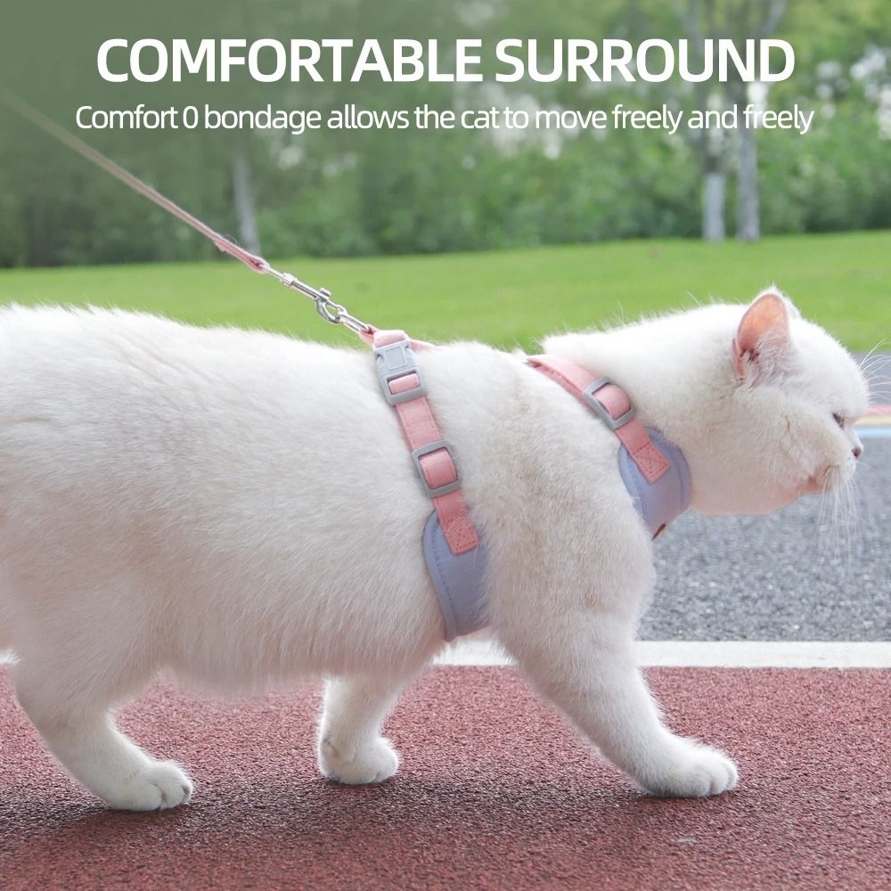 AeroMesh Adventure Harness Leash Set 3