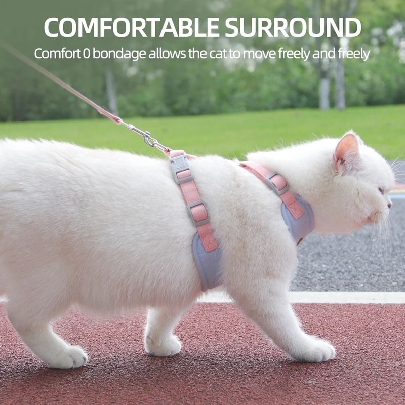 AeroMesh Adventure Harness Leash Set 3