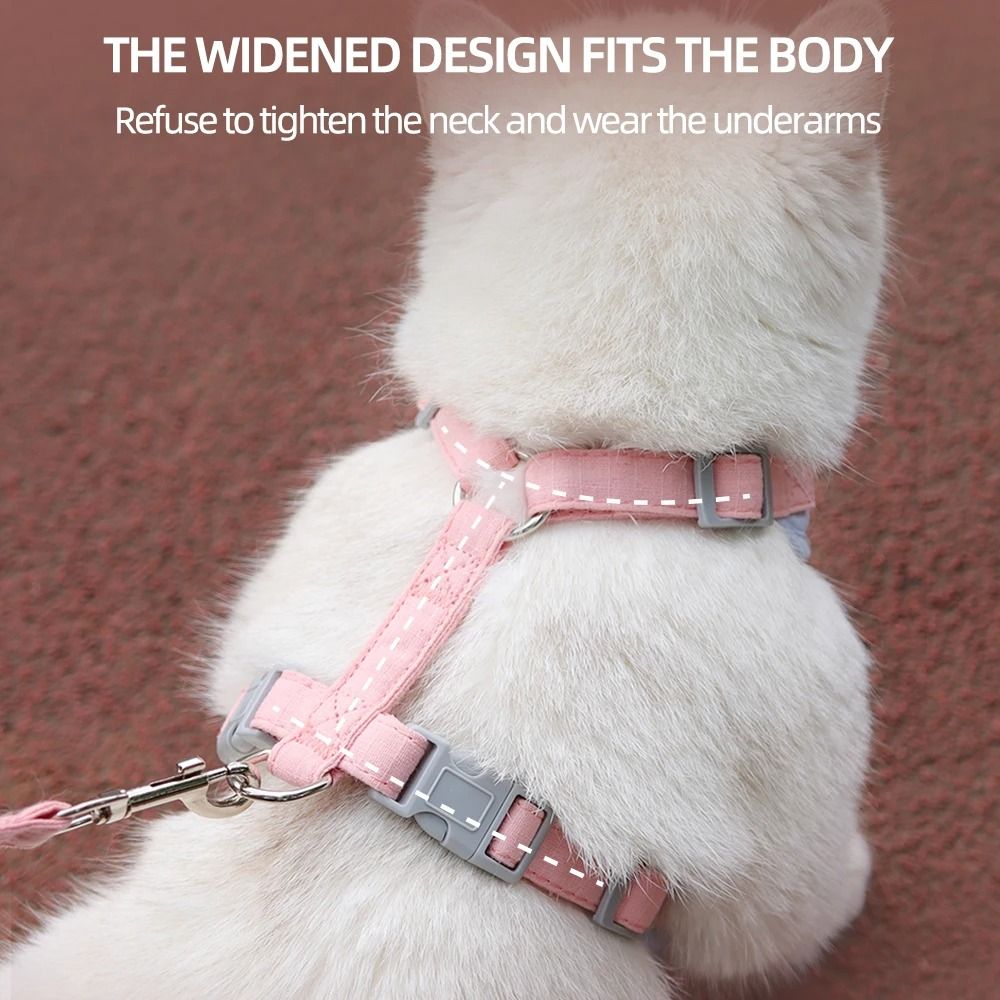AeroMesh Adventure Harness Leash Set 4