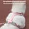AeroMesh Adventure Harness Leash Set 4