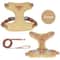 AeroMesh Adventure Harness Leash Set 9